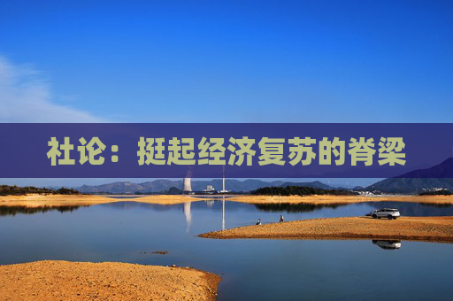 社论：挺起经济复苏的脊梁