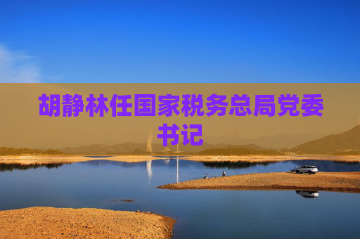 胡静林任国家税务总局党委书记