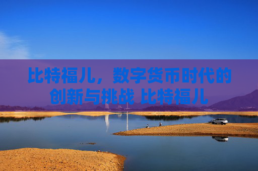 比特福儿，数字货币时代的创新与挑战 比特福儿