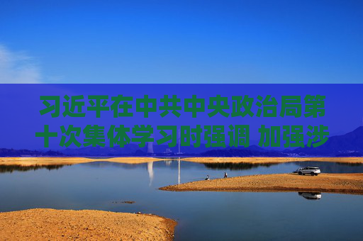 习近平在中共中央政治局第十次集体学习时强调 加强涉外法制建设 营造有利法治条件和外部环境
