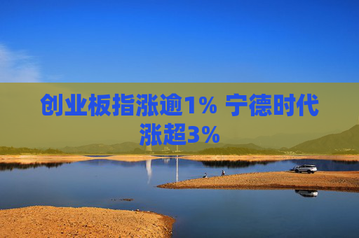 创业板指涨逾1% 宁德时代涨超3%