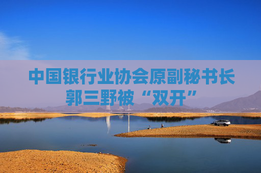 中国银行业协会原副秘书长郭三野被“双开”