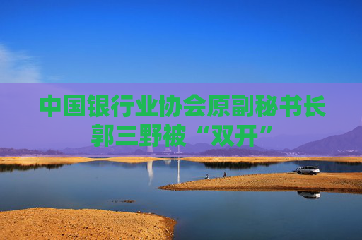 中国银行业协会原副秘书长郭三野被“双开”