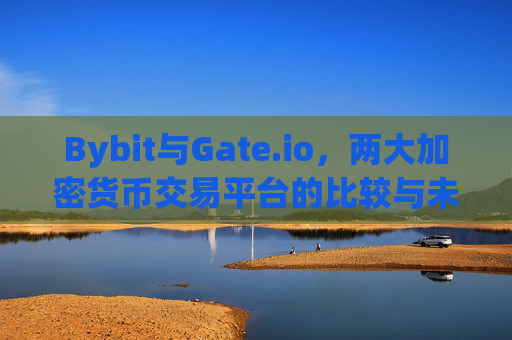 Bybit与Gate.io，两大加密货币交易平台的比较与未来展望 bybitgate.io