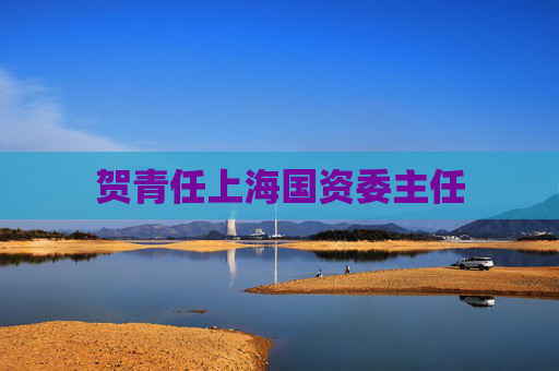 贺青任上海国资委主任