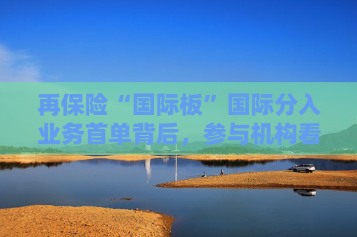 再保险“国际板”国际分入业务首单背后，参与机构看中什么？