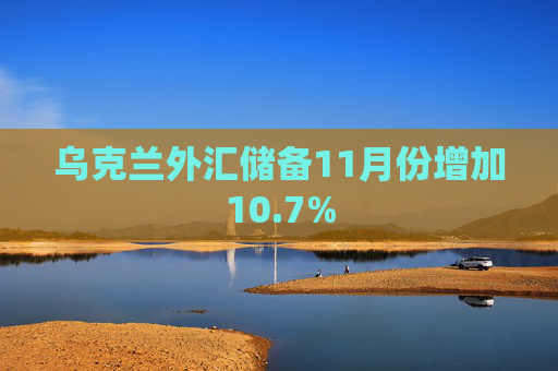 乌克兰外汇储备11月份增加10.7%
