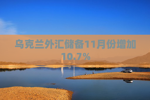 乌克兰外汇储备11月份增加10.7%