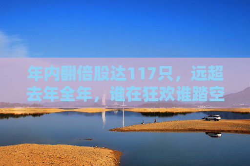 年内翻倍股达117只，远超去年全年，谁在狂欢谁踏空？