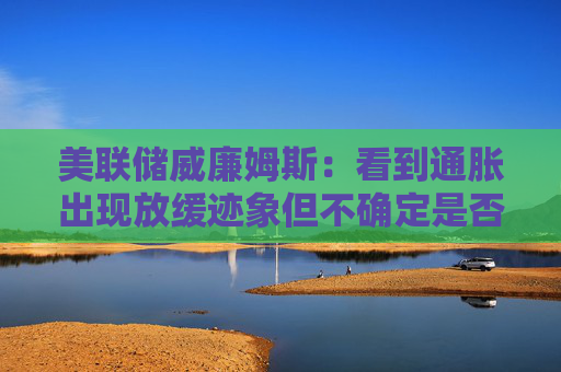 美联储威廉姆斯：看到通胀出现放缓迹象但不确定是否已经见顶