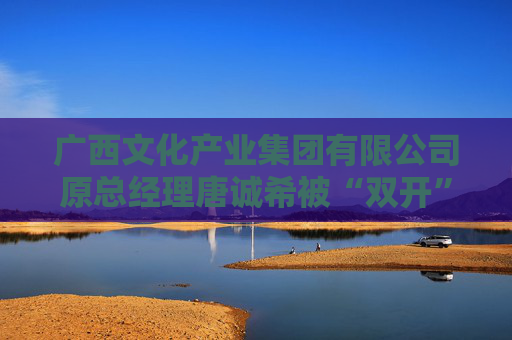 广西文化产业集团有限公司原总经理唐诚希被“双开”
