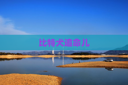 比特犬追命儿