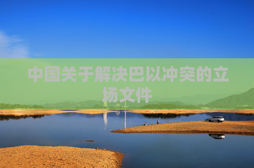 中国关于解决巴以冲突的立场文件
