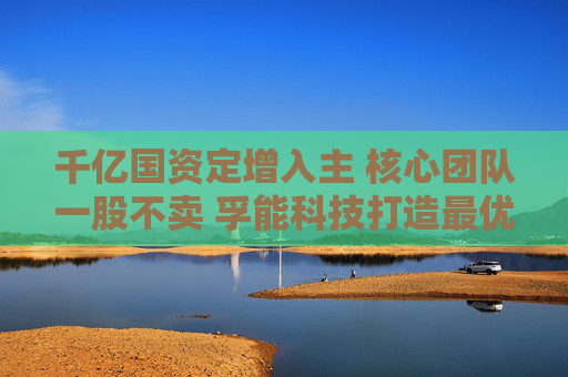 千亿国资定增入主 核心团队一股不卖 孚能科技打造最优股权架构