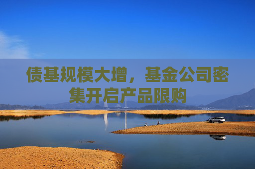 债基规模大增，基金公司密集开启产品限购