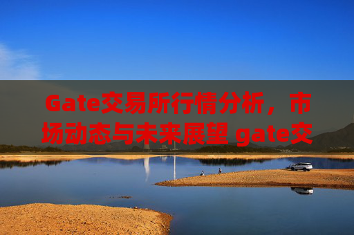 Gate交易所行情分析，市场动态与未来展望 gate交易所行情