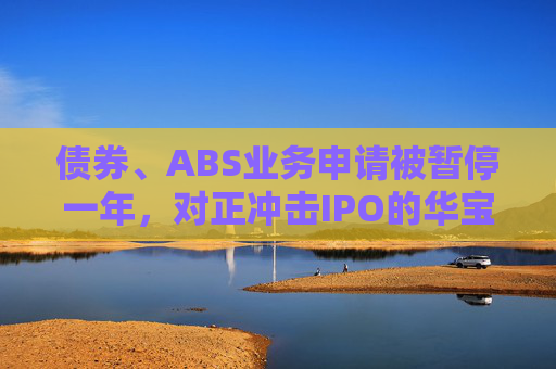 债券、ABS业务申请被暂停一年，对正冲击IPO的华宝证券影响几何？