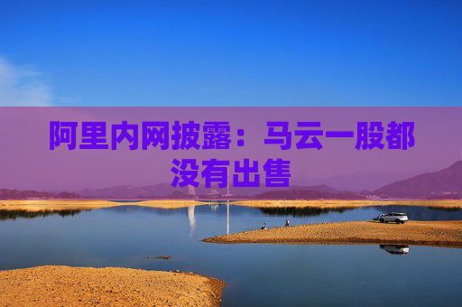 阿里内网披露：马云一股都没有出售