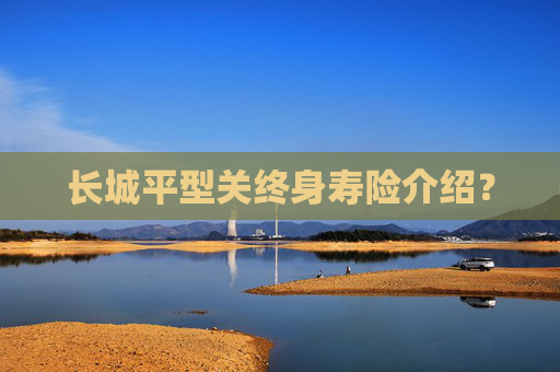 长城平型关终身寿险介绍？