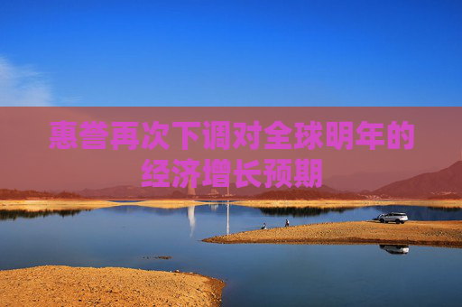 惠誉再次下调对全球明年的经济增长预期