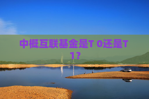 中概互联基金是T 0还是T 1？