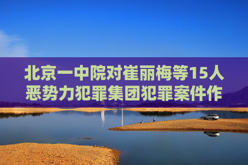 北京一中院对崔丽梅等15人恶势力犯罪集团犯罪案件作出一审判决
