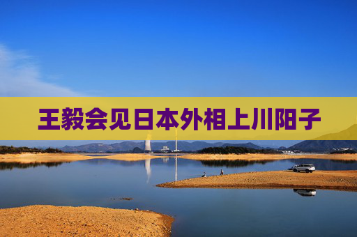 王毅会见日本外相上川阳子