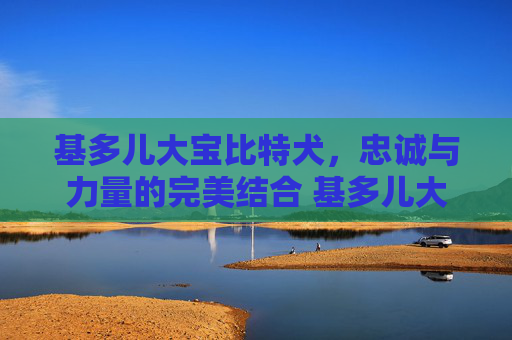 基多儿大宝比特犬，忠诚与力量的完美结合 基多儿大宝比特犬