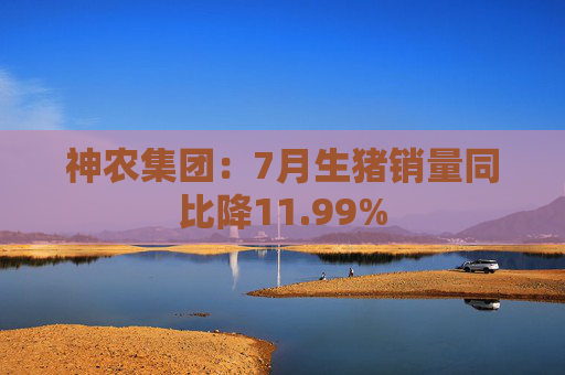 神农集团：7月生猪销量同比降11.99%