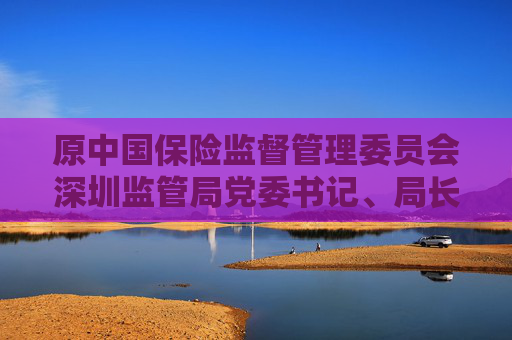 原中国保险监督管理委员会深圳监管局党委书记、局长张辉烨被查