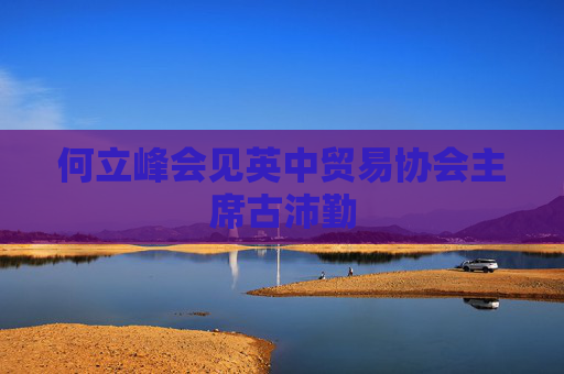 何立峰会见英中贸易协会主席古沛勤