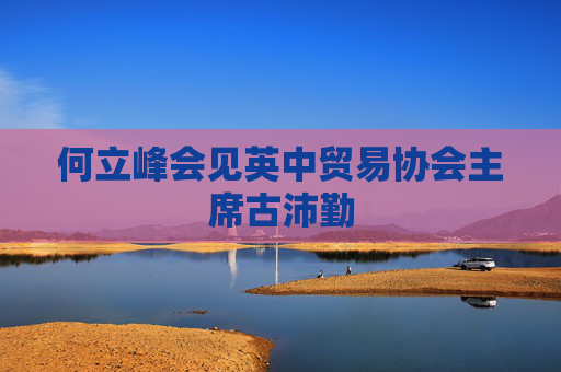 何立峰会见英中贸易协会主席古沛勤