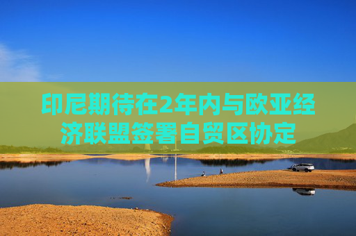 印尼期待在2年内与欧亚经济联盟签署自贸区协定