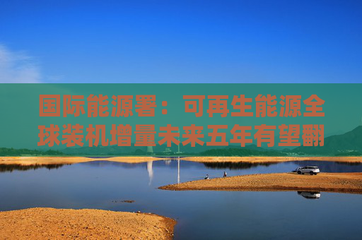 国际能源署：可再生能源全球装机增量未来五年有望翻番