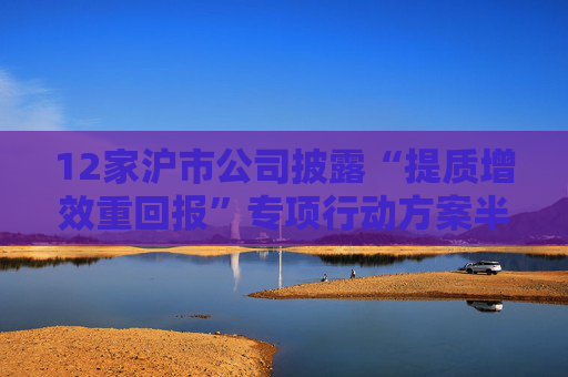 12家沪市公司披露“提质增效重回报”专项行动方案半年度评估报告