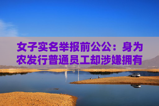 女子实名举报前公公：身为农发行普通员工却涉嫌拥有大量不明财产