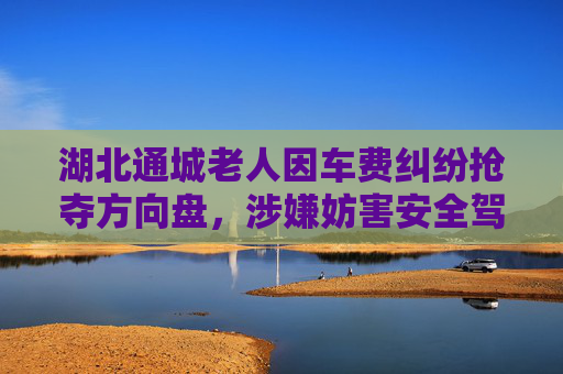 湖北通城老人因车费纠纷抢夺方向盘，涉嫌妨害安全驾驶被刑拘