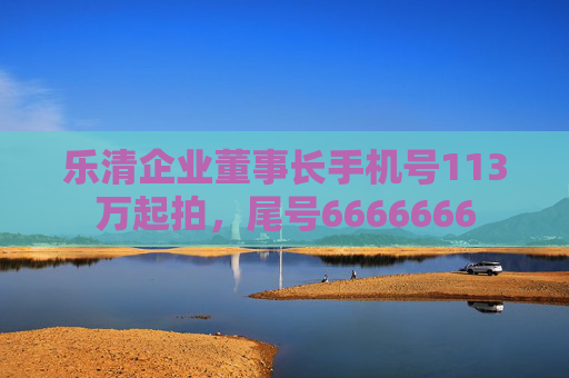乐清企业董事长手机号113万起拍，尾号6666666
