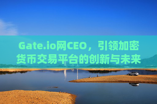 Gate.io网CEO，引领加密货币交易平台的创新与未来 gate.io网ceo