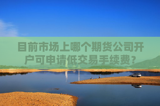 目前市场上哪个期货公司开户可申请低交易手续费？