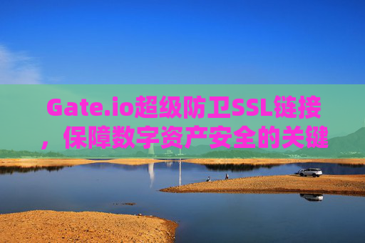 Gate.io超级防卫SSL链接，保障数字资产安全的关键