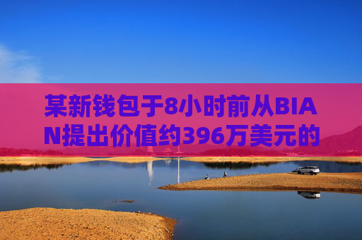 某新钱包于8小时前从BIAN提出价值约396万美元的ENA