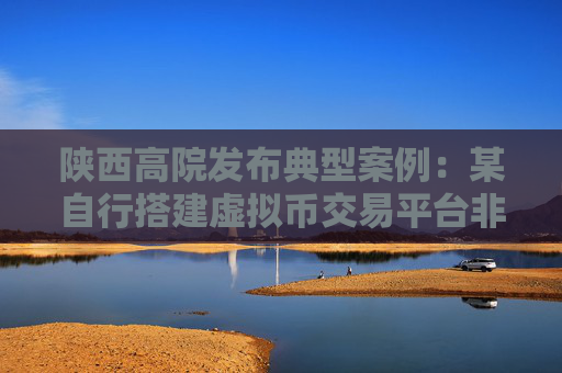 陕西高院发布典型案例：某自行搭建虚拟币交易平台非法吸收公众存款