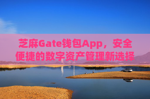 芝麻Gate钱包App，安全便捷的数字资产管理新选择 芝麻gate钱包app