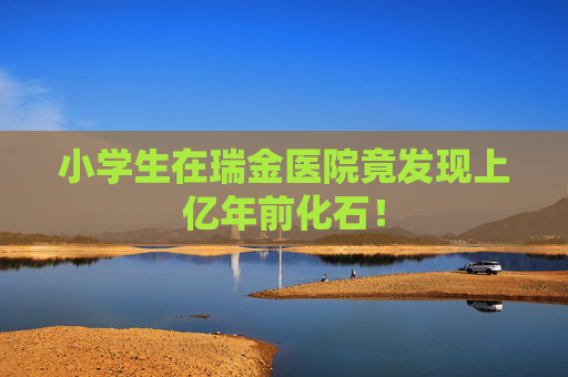 小学生在瑞金医院竟发现上亿年前化石！