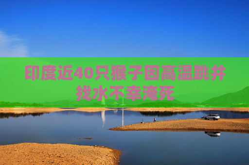 印度近40只猴子因高温跳井找水不幸淹死