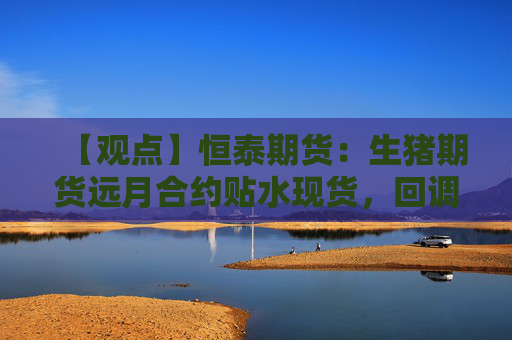 【观点】恒泰期货：生猪期货远月合约贴水现货，回调有限
