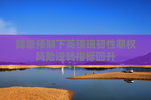 降息预期下英镑现韧性期权风险逆转指标回升