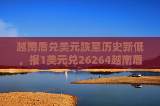 越南盾兑美元跌至历史新低，报1美元兑26264越南盾