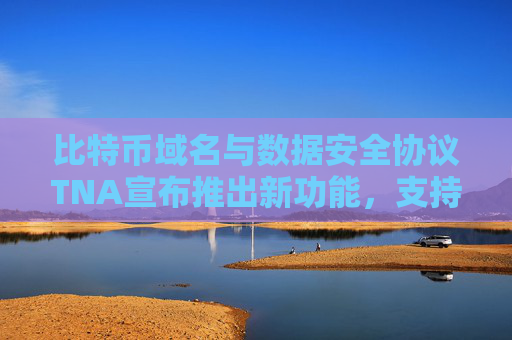 比特币域名与数据安全协议TNA宣布推出新功能，支持Ordinals域名服务